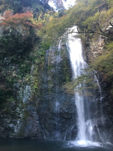 d0197872_23192911.jpeg