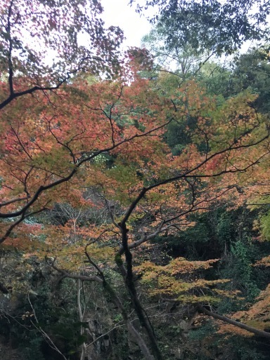 d0197872_23201885.jpeg