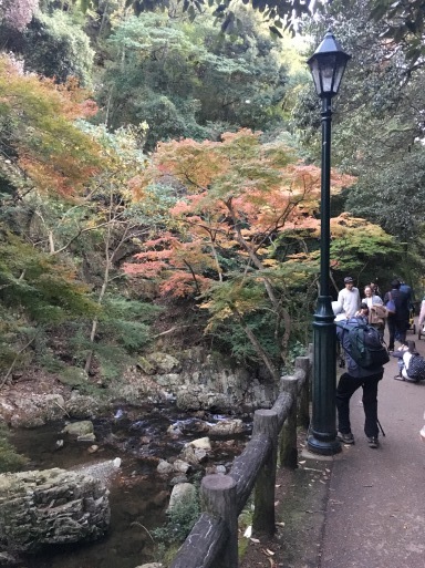 d0197872_23202916.jpeg