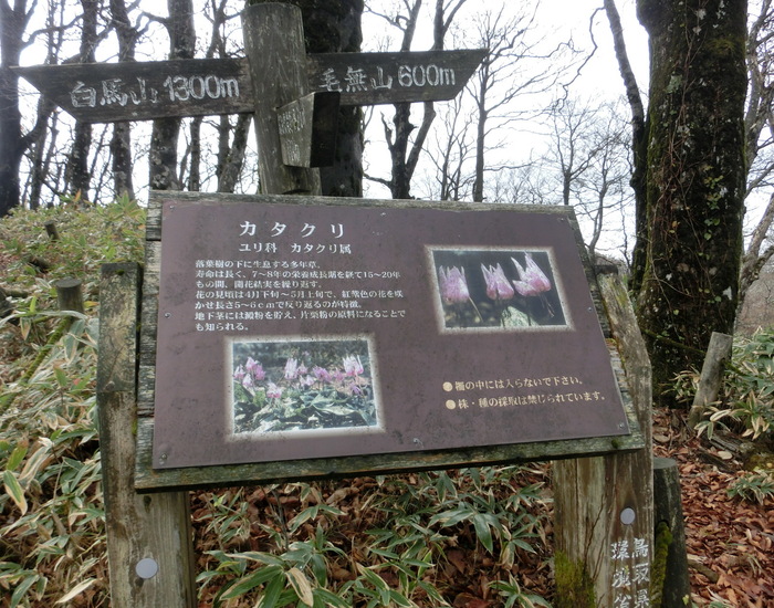 Ｎo419 中国山地・鳥取県側より毛無山～白馬山ピストン_b0185573_9121014.jpg