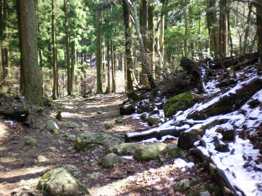 修験のやま (英彦山)_b0005281_20512754.jpg