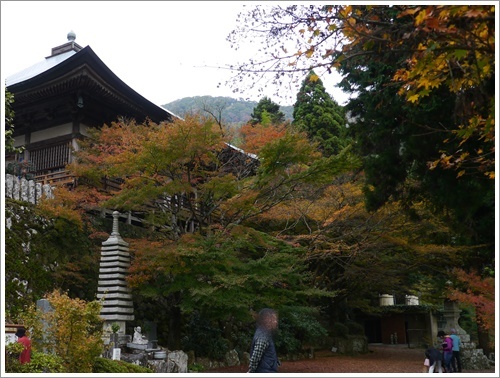 国東半島へ紅葉狩り　その２　両子寺_b0175688_21454886.jpg