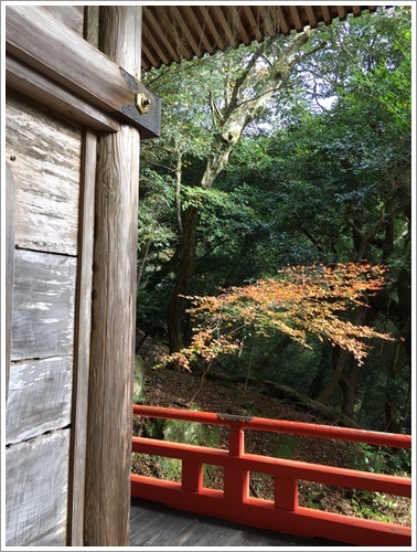 国東半島へ紅葉狩り　その２　両子寺_b0175688_22041193.jpg