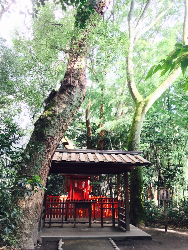 神戸・生田神社_e0145589_2374776.jpg