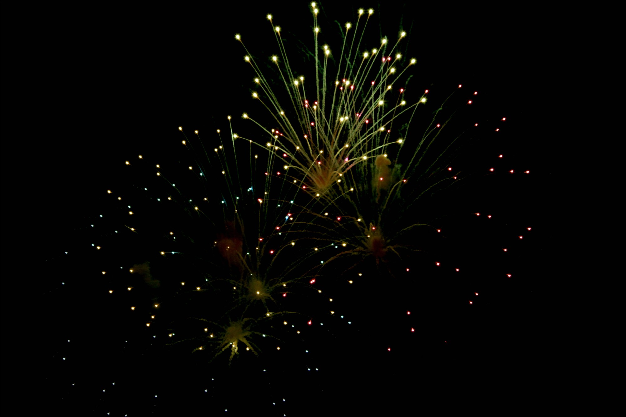 a0127090_20291255.jpg