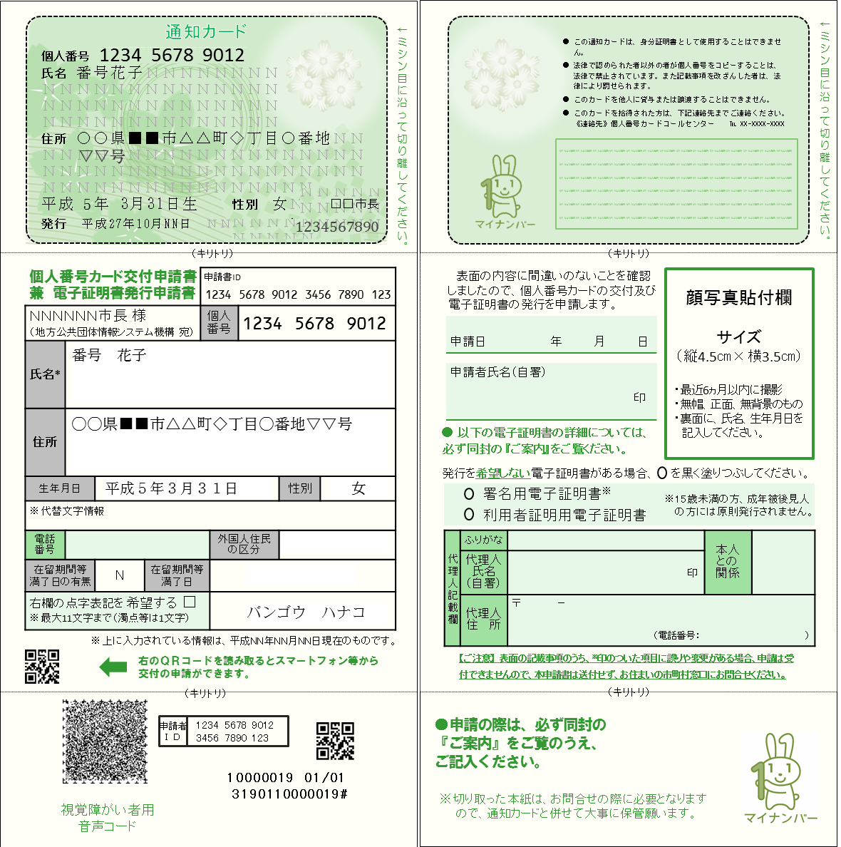 マイナンバー通知カード_b0177792_13304033.png