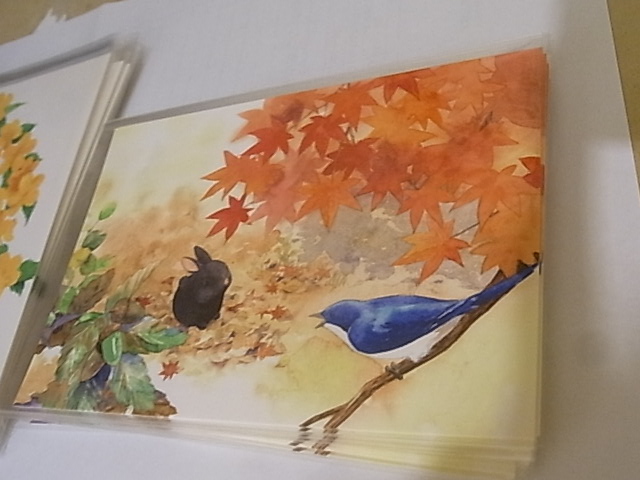 東急ハンズ梅田店インコと鳥の雑貨展新作お届けしました_d0322493_0192144.jpg