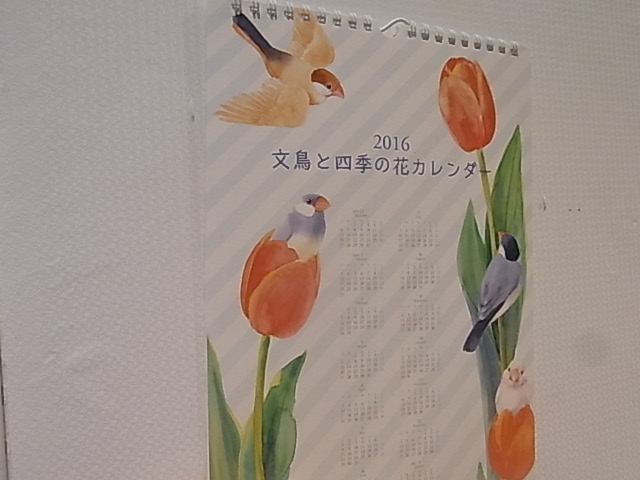 東急ハンズ梅田店インコと鳥の雑貨展新作お届けしました_d0322493_0194412.jpg
