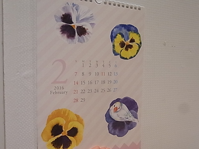 東急ハンズ梅田店インコと鳥の雑貨展新作お届けしました_d0322493_0201624.jpg