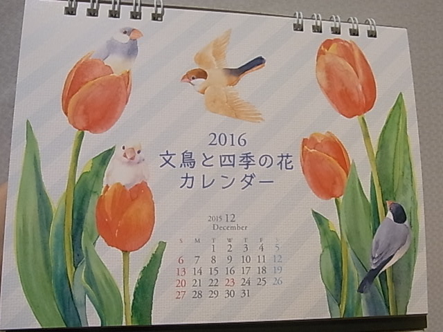 東急ハンズ梅田店インコと鳥の雑貨展新作お届けしました_d0322493_0205552.jpg