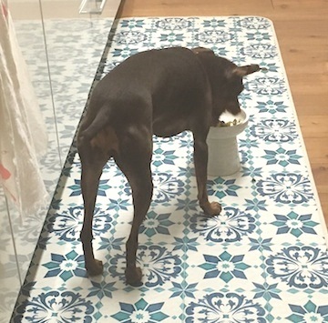 d0343297_11444227.jpeg