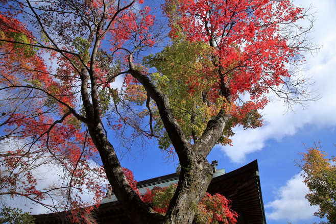 大山寺へ_c0278800_18746.jpg