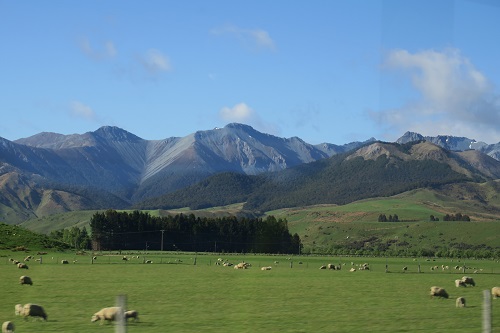 a0158702_1456430.jpg