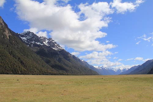 a0158702_14582123.jpg