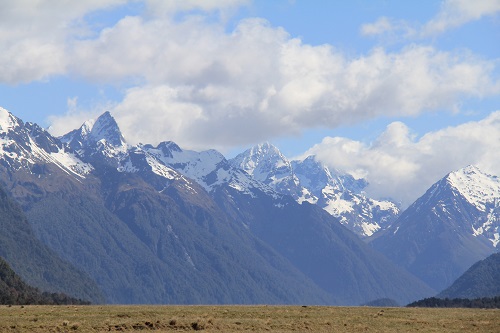 a0158702_14583846.jpg