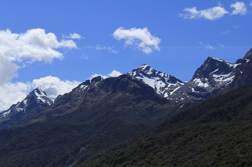 a0158702_150253.jpg