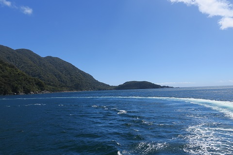 a0158702_1535217.jpg