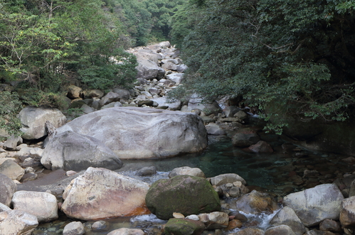 d0230507_19125481.jpg