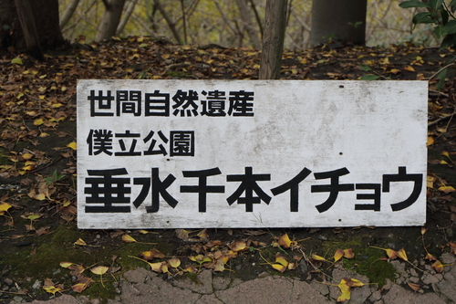 d0230507_1920143.jpg