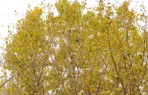 d0230507_19263577.jpg