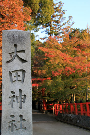 紅葉だより35　太田神社とあぜくら_e0048413_2027456.jpg