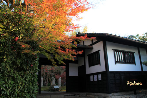 紅葉だより35　太田神社とあぜくら_e0048413_20281888.jpg