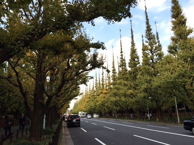 e0205713_2252230.jpg