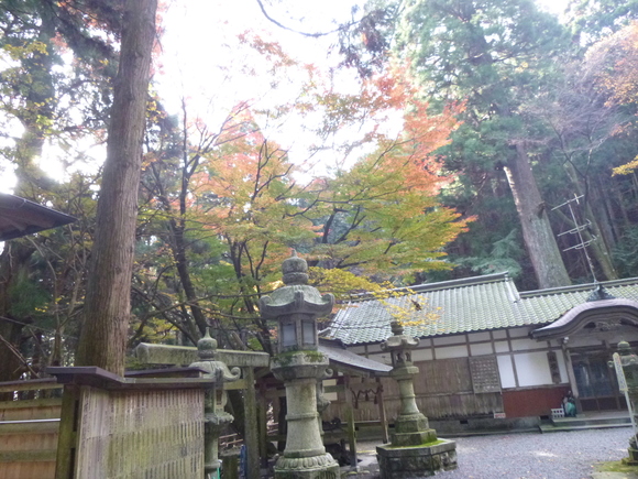 天狗伝説のある　福王神社・福王山(598M)  に登る_d0170615_13592311.jpg