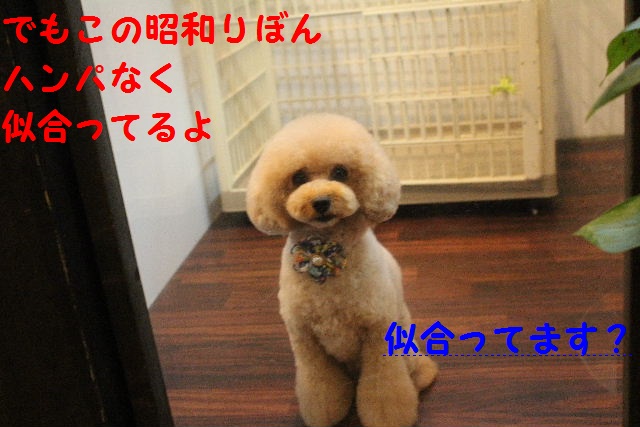エプロン♪_b0130018_0224454.jpg