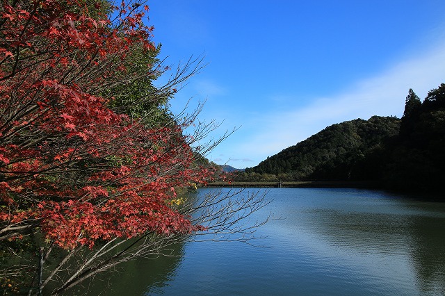 大台町紅葉の旅（その3）_e0321325_13143731.jpg