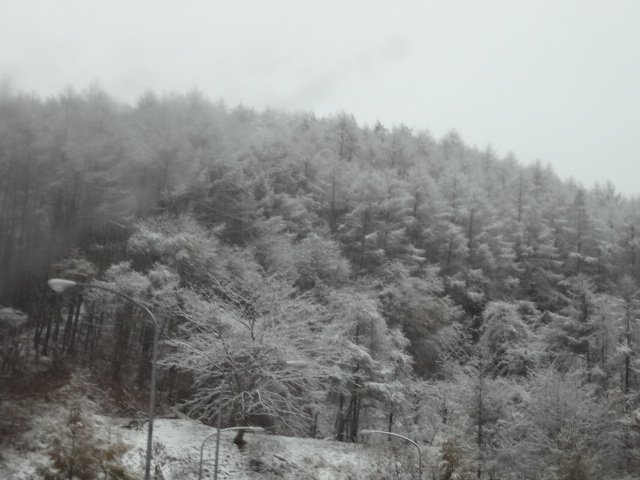 f0148927_2231355.jpg