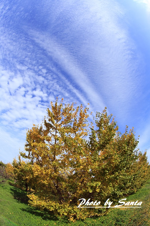 c0201929_76988.jpg