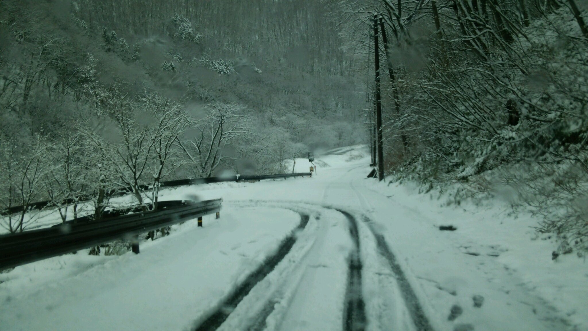 初雪!_c0213830_11364756.jpg