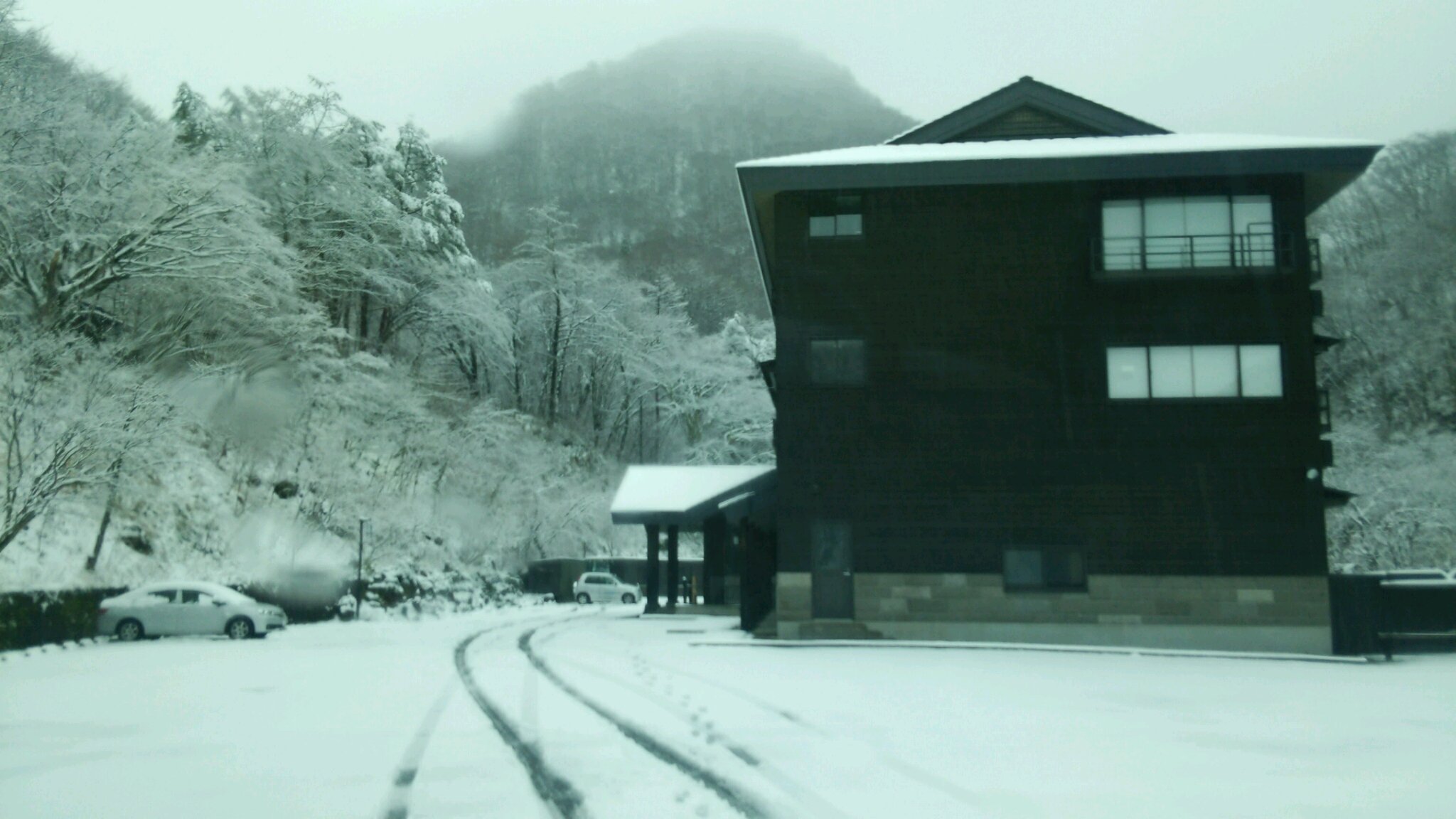 初雪!_c0213830_1137493.jpg