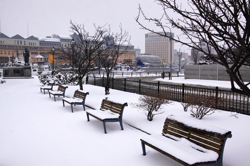 雪降る街角 11月26日_f0113639_1635563.jpg