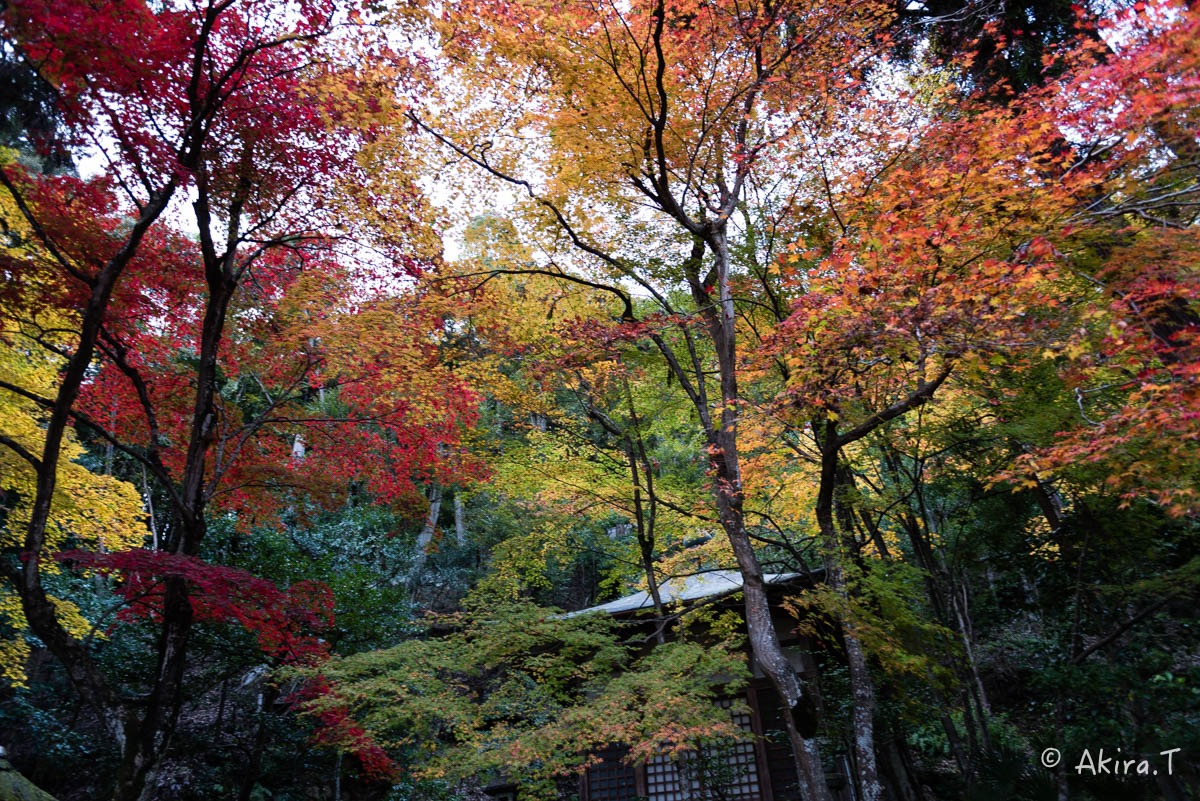 京都・嵯峨野の紅葉 2015 〜護法堂弁財天〜 1_f0152550_23352473.jpg