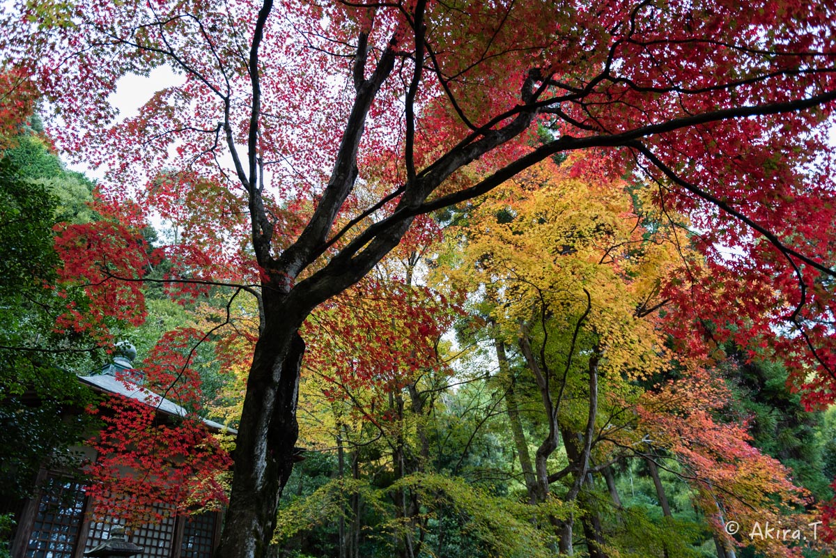 京都・嵯峨野の紅葉 2015 〜護法堂弁財天〜 1_f0152550_23353965.jpg