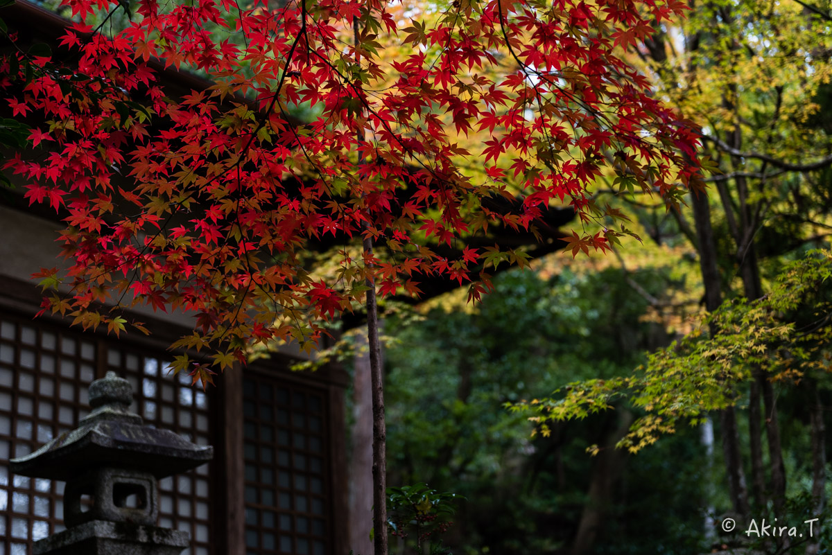 京都・嵯峨野の紅葉 2015 〜護法堂弁財天〜 1_f0152550_23364621.jpg