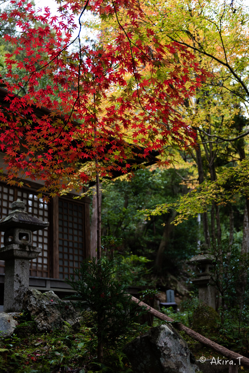 京都・嵯峨野の紅葉 2015 〜護法堂弁財天〜 1_f0152550_2337053.jpg