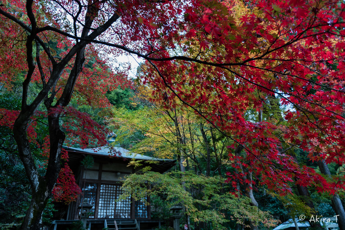 京都・嵯峨野の紅葉 2015 〜護法堂弁財天〜 1_f0152550_23371510.jpg