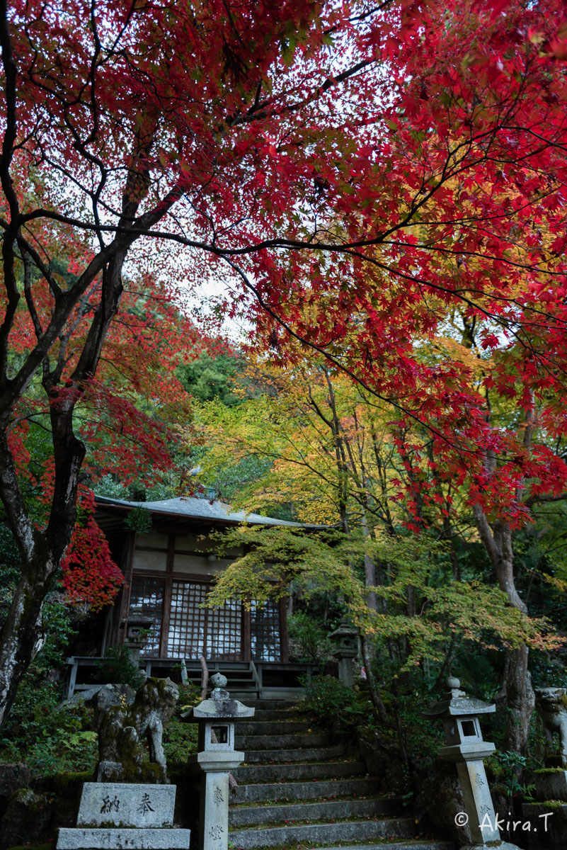 京都・嵯峨野の紅葉 2015 〜護法堂弁財天〜 1_f0152550_23373055.jpg