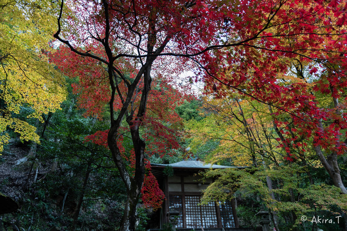 京都・嵯峨野の紅葉 2015 〜護法堂弁財天〜 1_f0152550_23375079.jpg