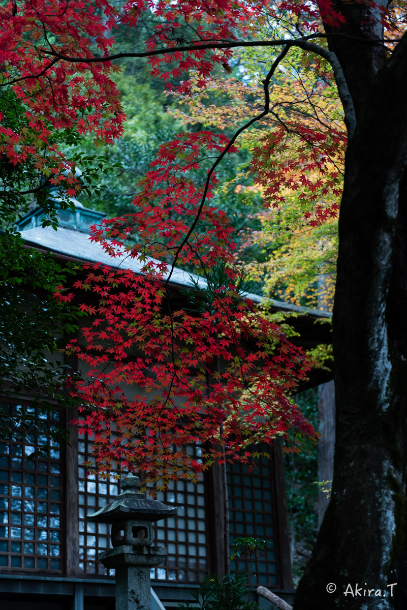 京都・嵯峨野の紅葉 2015 〜護法堂弁財天〜 1_f0152550_23384357.jpg