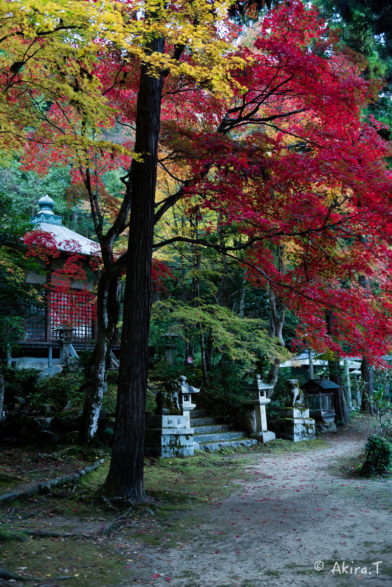 京都・嵯峨野の紅葉 2015 〜護法堂弁財天〜 1_f0152550_234028100.jpg