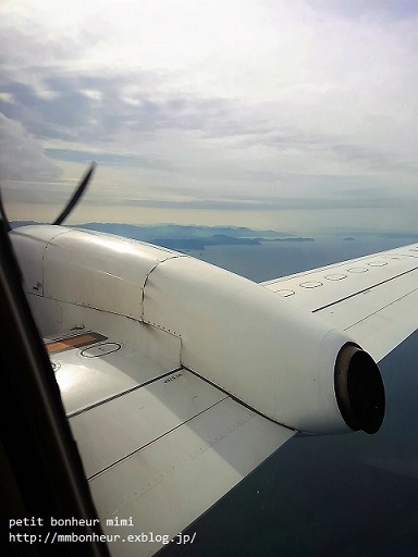 a0181553_1530019.jpg