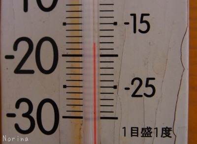 氷点下20度@@~美瑛_e0326953_1001848.jpg