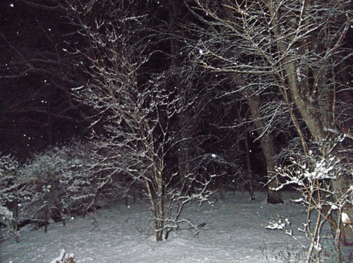 b0045357_8122397.jpg