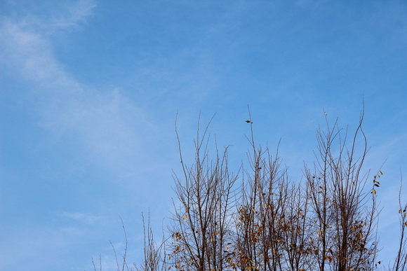 c0272958_22244163.jpg
