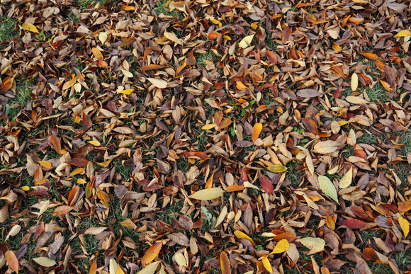 c0272958_2226012.jpg