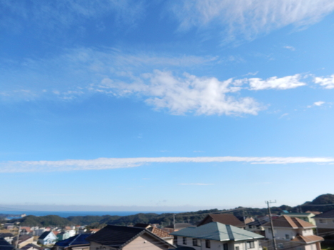 ’１５，１１，２６（水）猫の目と秋の空！_f0060461_13471055.jpg